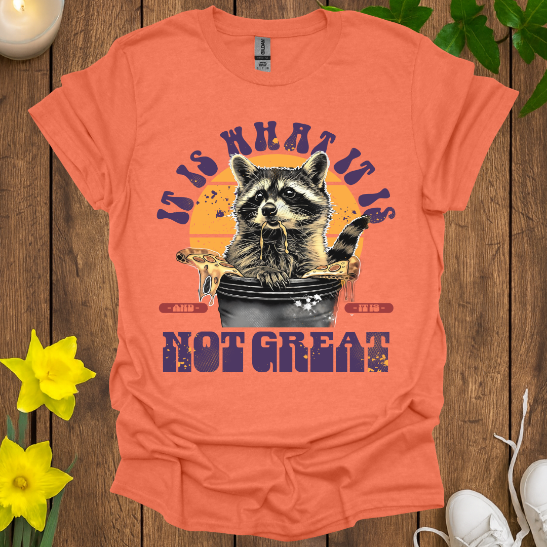 It Is What It Is T-Shirt