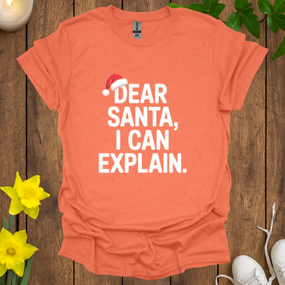 Dear Santa I Can Explain T-Shirt