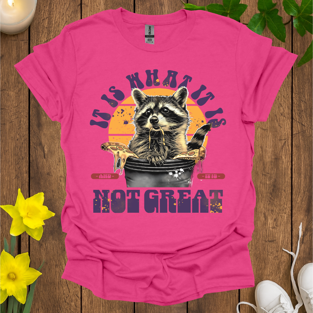 It Is What It Is T-Shirt