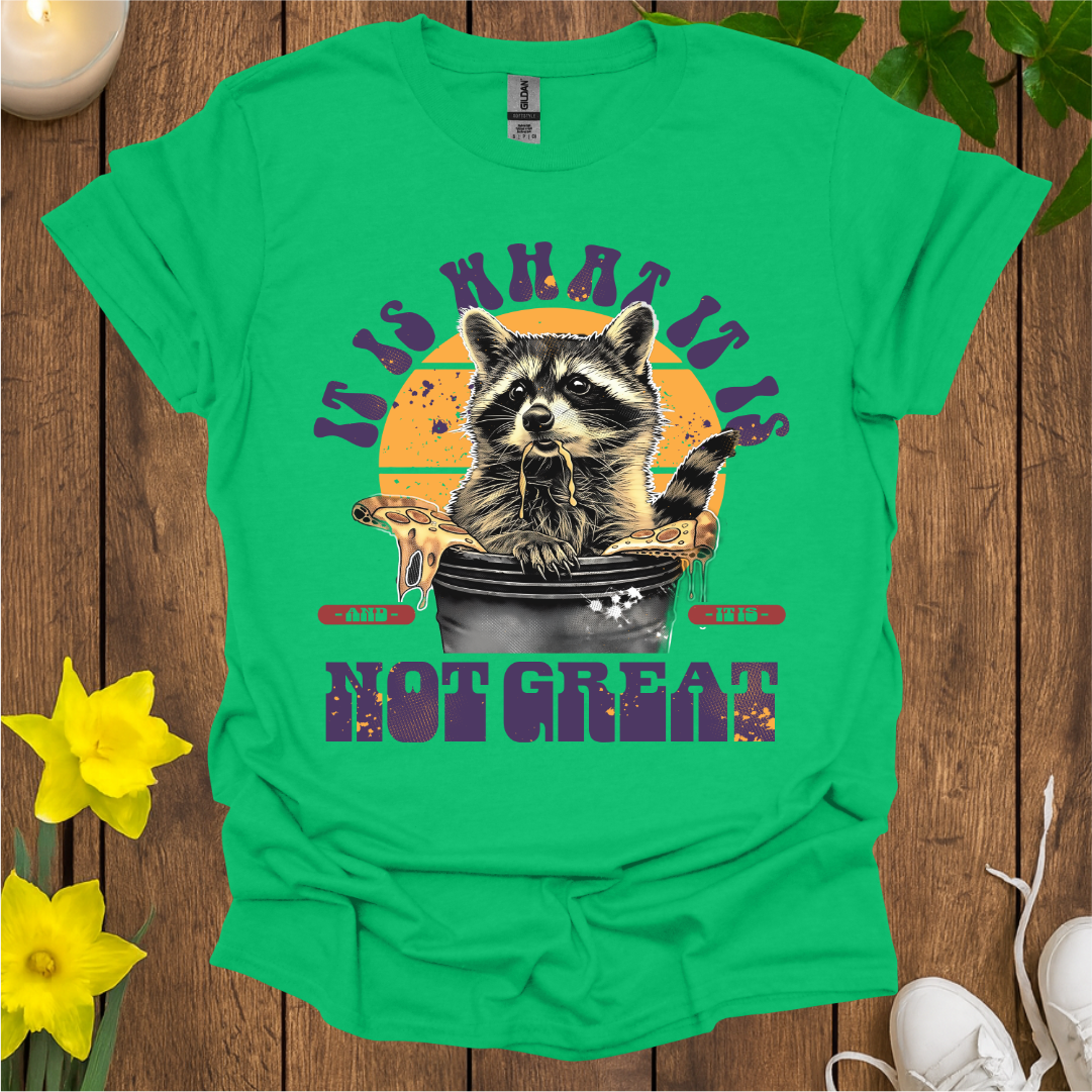 It Is What It Is T-Shirt