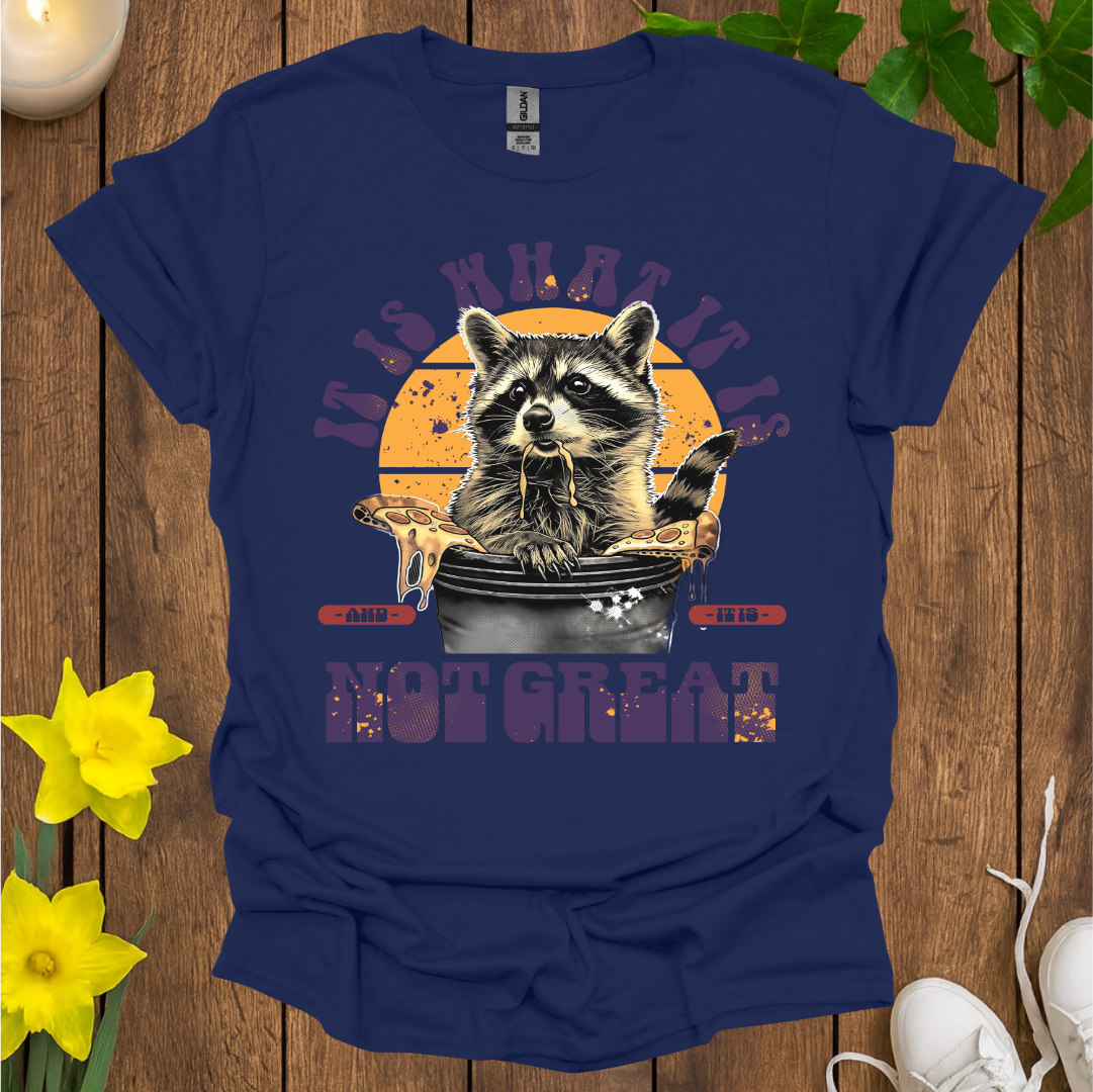 It Is What It Is T-Shirt