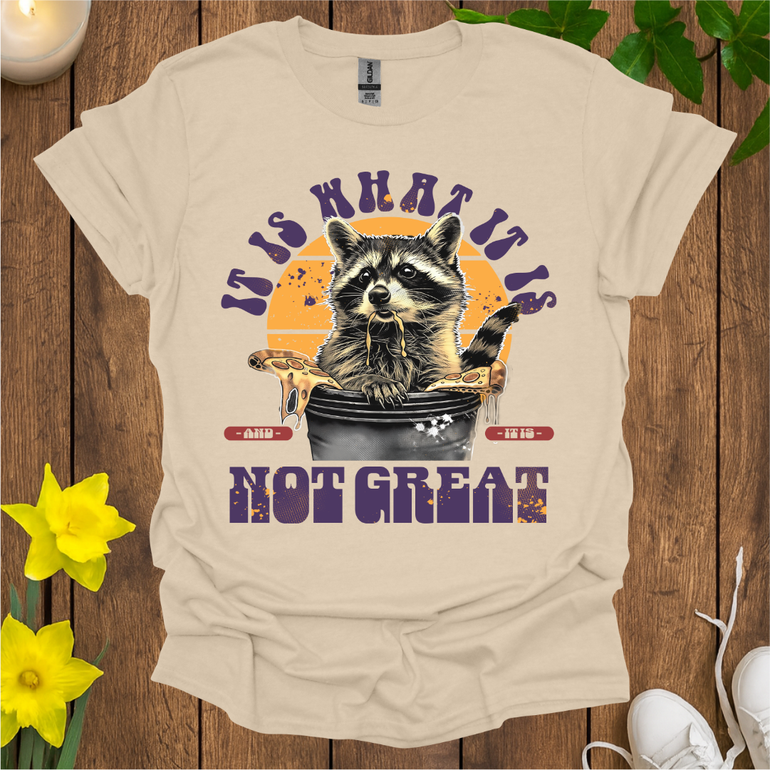 It Is What It Is T-Shirt