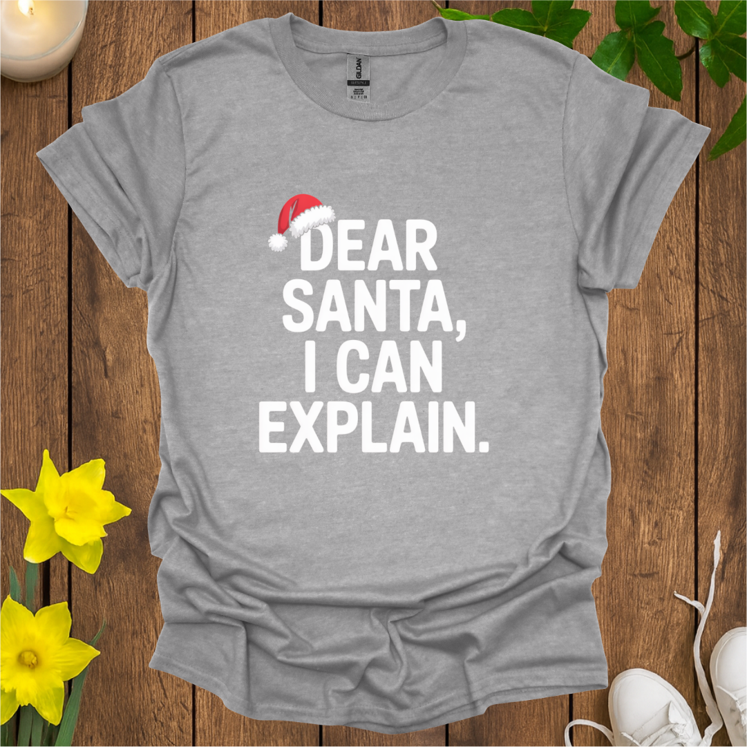 Dear Santa I Can Explain T-Shirt