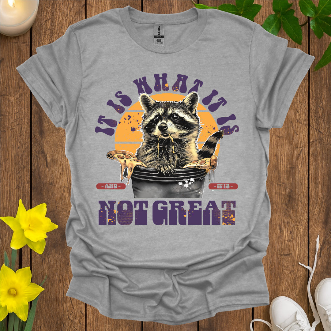It Is What It Is T-Shirt
