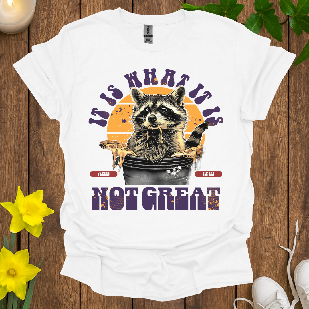It Is What It Is T-Shirt